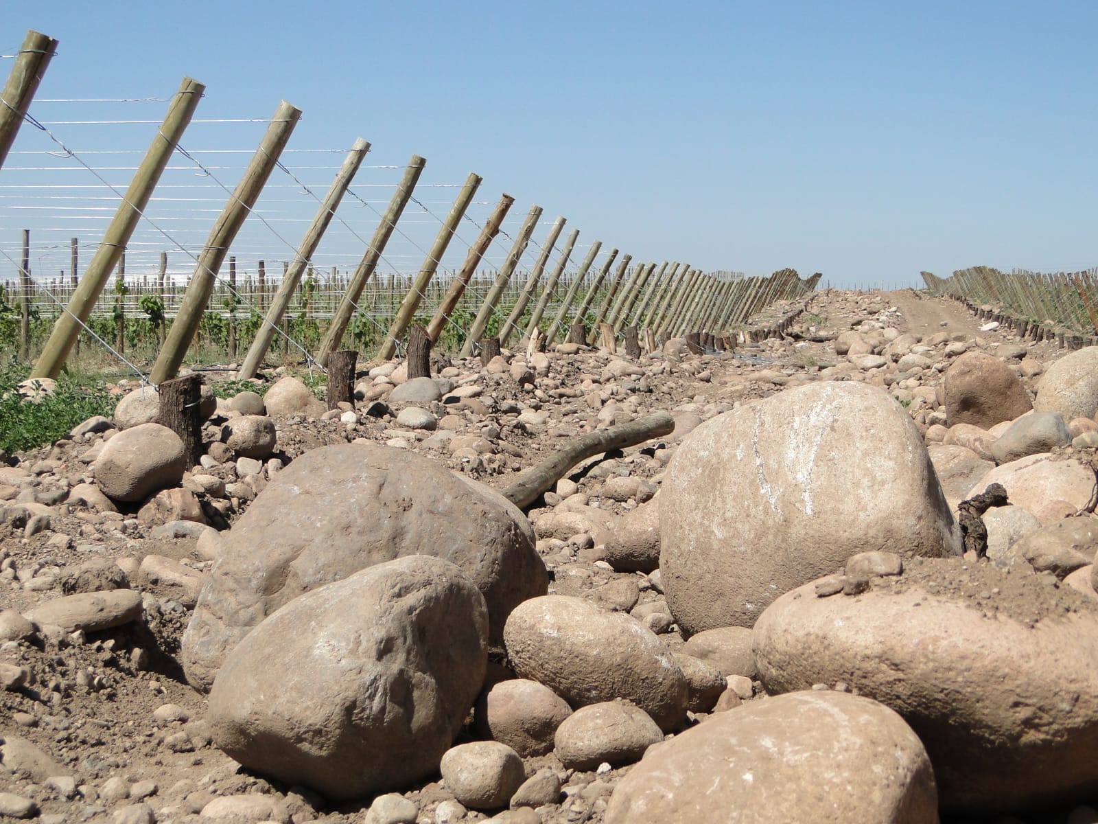 Construcción de fincas